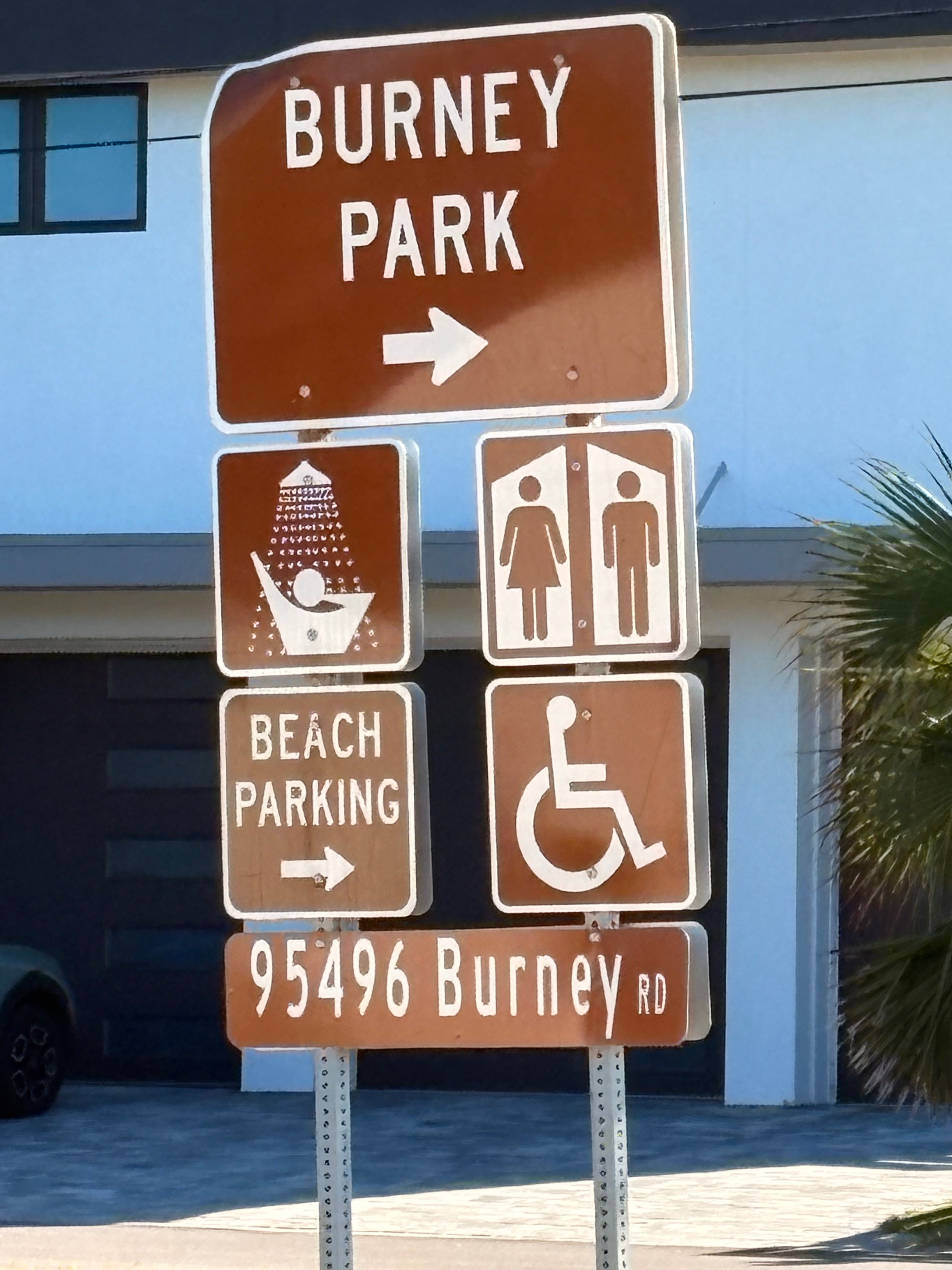 The Sankofa Collection